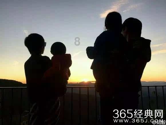 88影视