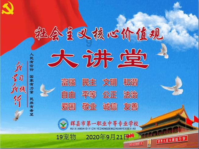 让动物飞一会